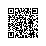 300AWDP3J3BLKVS2QE QRCode