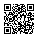 30303150131 QRCode