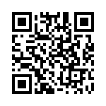 3100U02140063 QRCode