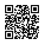 4-641113-3 QRCode