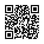 41295 QRCode