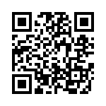 4232R-393F QRCode