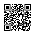 61300511121 QRCode