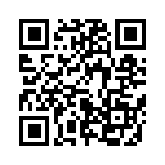 653P21256A3T QRCode