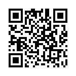 8-1625868-3 QRCode