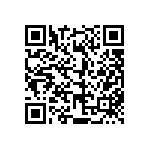 813-SS-012-30-004101 QRCode