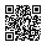 910_166 QRCode