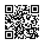 911341 QRCode