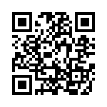 999-175-NT QRCode