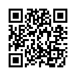 A20130207 QRCode