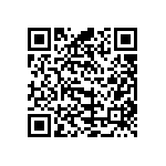 B57451V5333H062 QRCode