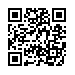 BZT55B4V3-L0G QRCode