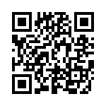 DF3E-4P-2H-21 QRCode