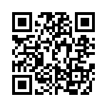 DS-313-PIN QRCode