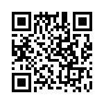 DS1743P-100 QRCode