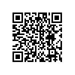 DW-06-13-T-S-300 QRCode