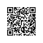 ESQT-117-02-H-S-309 QRCode