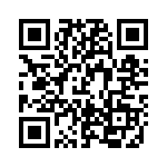 FL3T1 QRCode