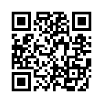 KE381151A000G QRCode