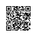 L2C3-4080205A06000 QRCode