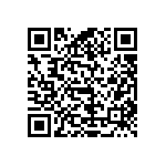 LT300016T261K0J QRCode