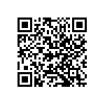 M55342H04B2B74RT5 QRCode