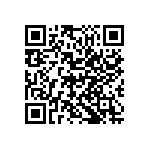 M55342K03B604BPT5 QRCode