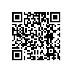 MK20DX256VLQ10R QRCode