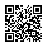 P0300EBL QRCode