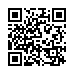 P4KE12 QRCode