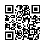 PE-53934NL QRCode