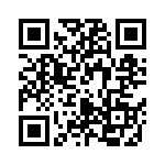 R413F133040M1M QRCode