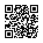 R71VI34704020K QRCode