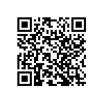 RNC55H13R0BSRSL QRCode