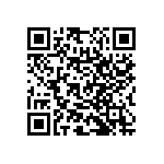 RNC55H3093BSRSL QRCode