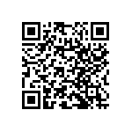 RNC55H4171BSRE6 QRCode