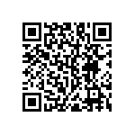 RNC55H5173BSRSL QRCode