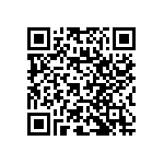 RNC60J1010BSRE6 QRCode