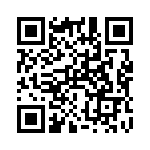 RT0100 QRCode