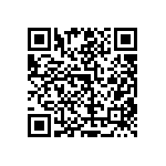 RT1206CRD07160KL QRCode