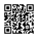 T38040-02-0 QRCode