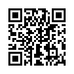 T38132-08-0 QRCode