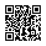 T38413-06-0 QRCode