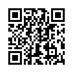 T38522-02-0 QRCode