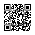 T5071070B4AQ QRCode