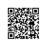 VJ0402D0R3BLAAC QRCode