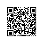 VS3-B2-B3-E33-00-CE QRCode