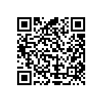 Y17451K37000Q2R QRCode