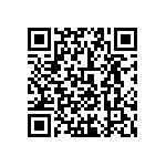 0505Y3009P10BQT QRCode