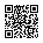 132172RP-RP QRCode